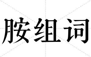 胺组词