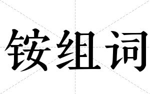 铵组词