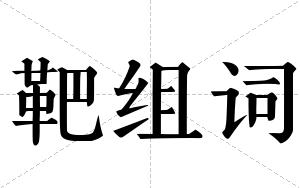 靶组词 靶组词