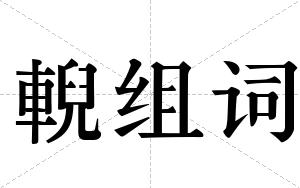 輗组词