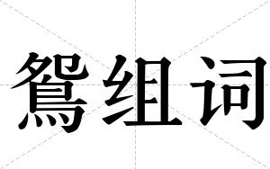 鴛组词