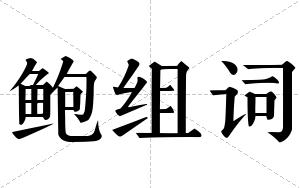 鲍组词 鲍组词