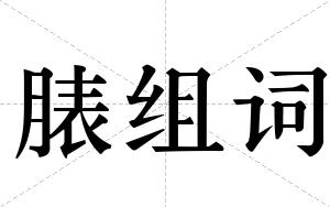 脿组词