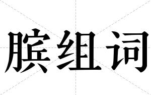 膑组词