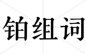铂组词 铂组词