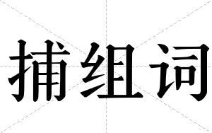 捕组词 捕组词