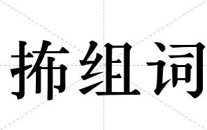 抪组词