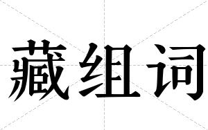 藏组词 藏组词