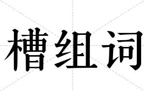 槽组词