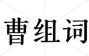 曹组词