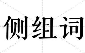 侧组词 侧组词