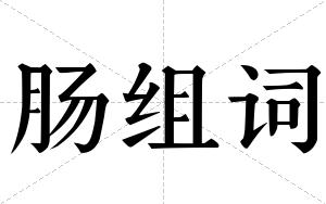 肠组词